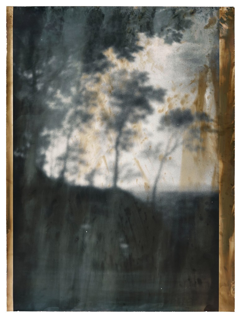 Jeff Cowen, Untitled, (W-Series), 40 x 30 cm, Silver Gelatin Print, 2017