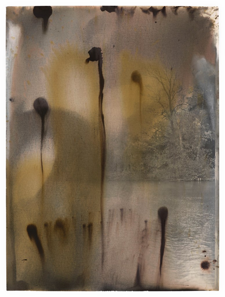 Jeff Cowen, Untitled, (W-Series), 40 x 30 cm, Silver Gelatin Print, 2017