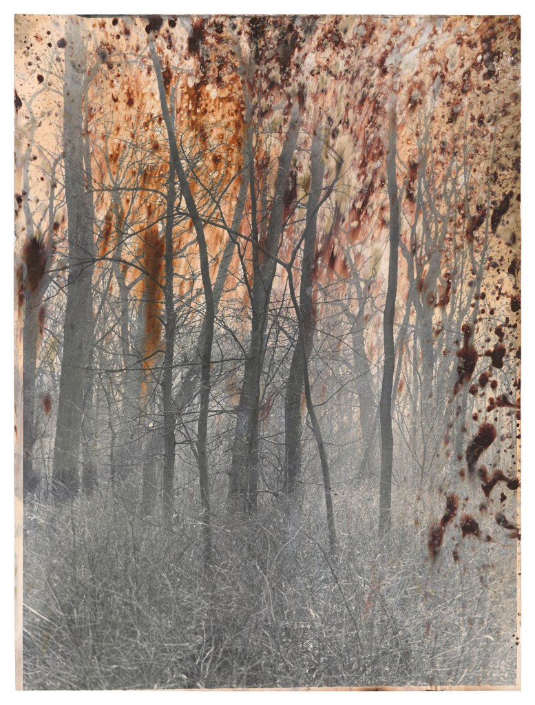 Jeff Cowen, Untitled, (W-Series), 40 x 30 cm, Silver Gelatin Print, 2017