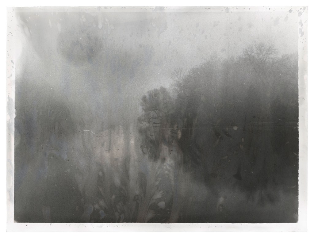 Jeff Cowen, Untitled, (W-Series), 40 x 30 cm, Silver Gelatin Print, 2017