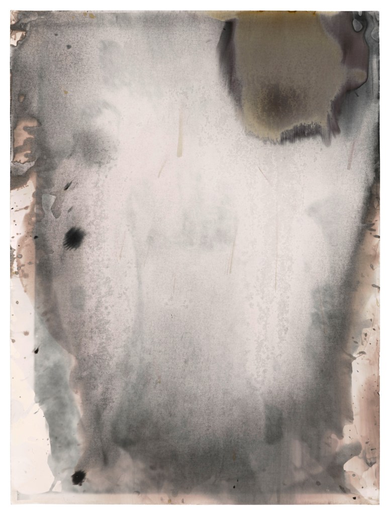 Jeff Cowen, Untitled, (W-Series), 40 x 30 cm, Silver Gelatin Print, 2016