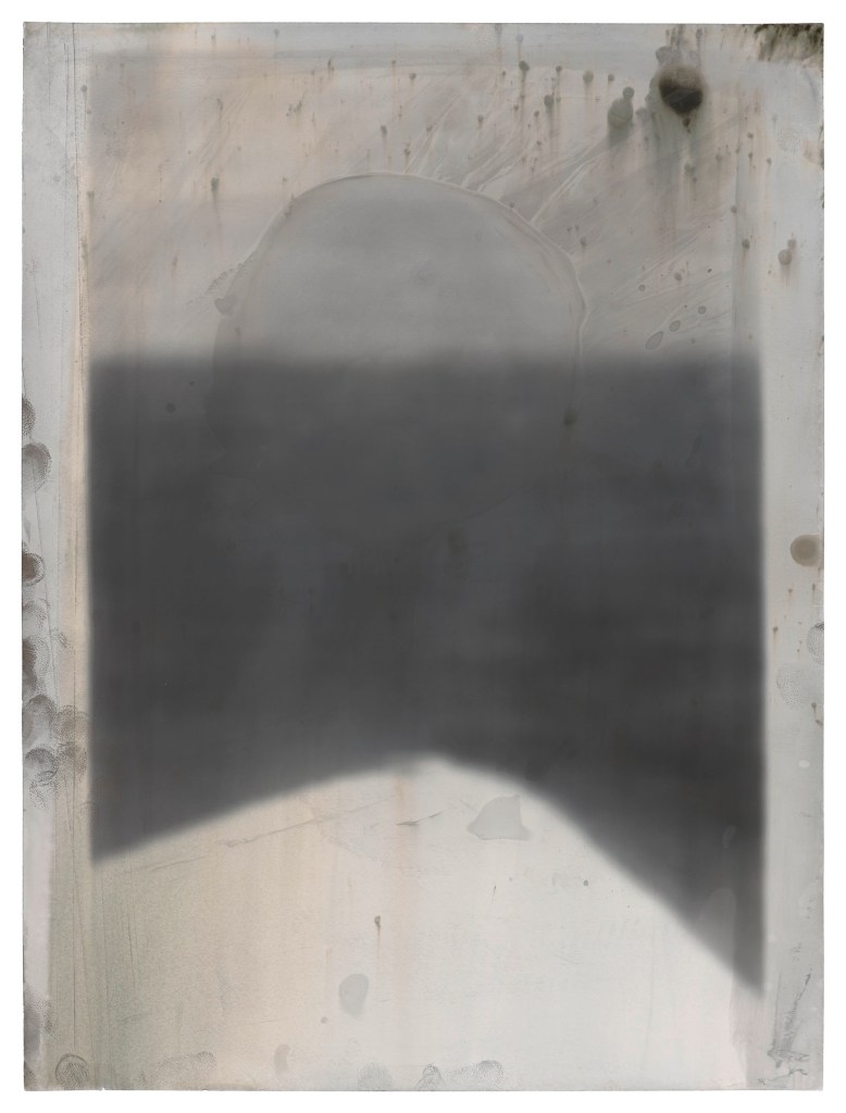 Jeff Cowen, Untitled (W-Series), 40 x 30 cm, Silver Gelatin Print, 2017