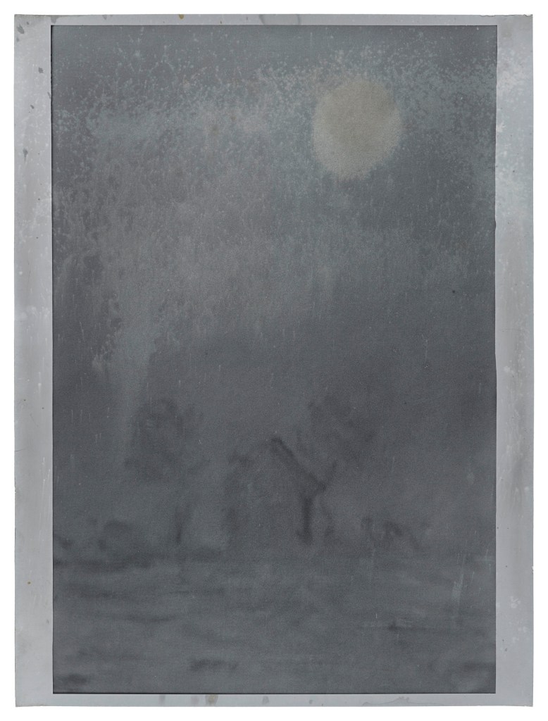 Jeff Cowen, Untitled (W-Series), 40 x 30 cm, Silver Gelatin Print, 2017