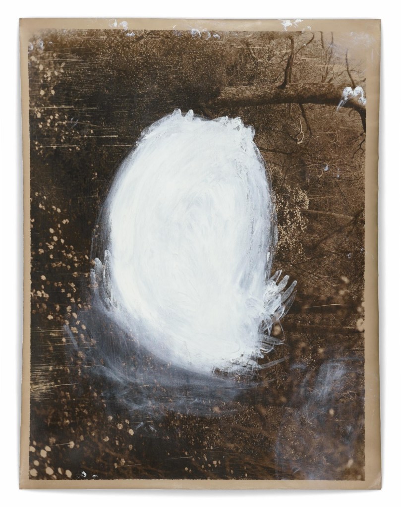 Jeff Cowen, P101, 107 x 82cm, Silver Gelatin Print, Mixed Media, 2020-2023, Edition of 1