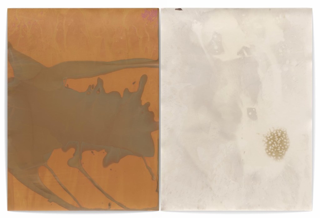 Jeff Cowen, P165, Diptych, 40 x 30cm each, Silver Gelatin Print, 2020-2023, Edition of 1