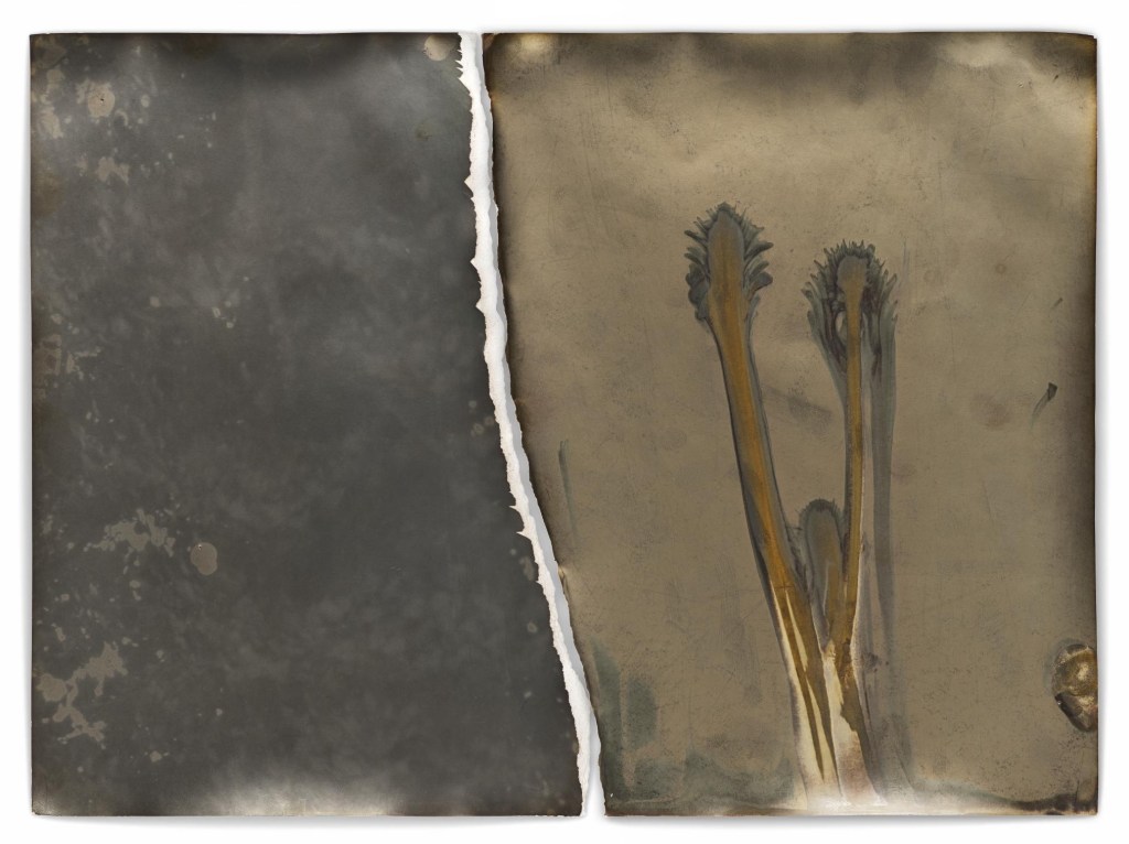 Jeff Cowen, P238, 40 x 30cm, Silver Gelatin Print, 2020-2023, Edition of 1