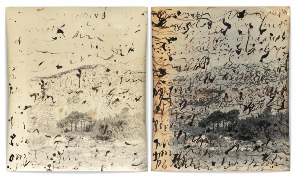 Jeff Cowen, P29, Diptych, 107 x 93cm each, Silver Gelatin Print, 2020-2023, Edition of 1